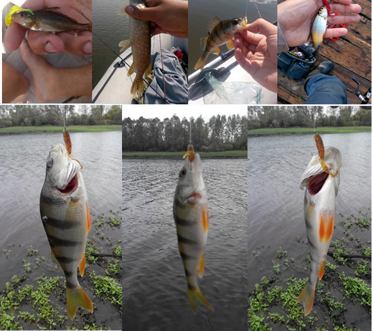 JYJ 5szt/worek 1g haczyk jigow – Fishing Lure Soft Plastic recenzja i cena